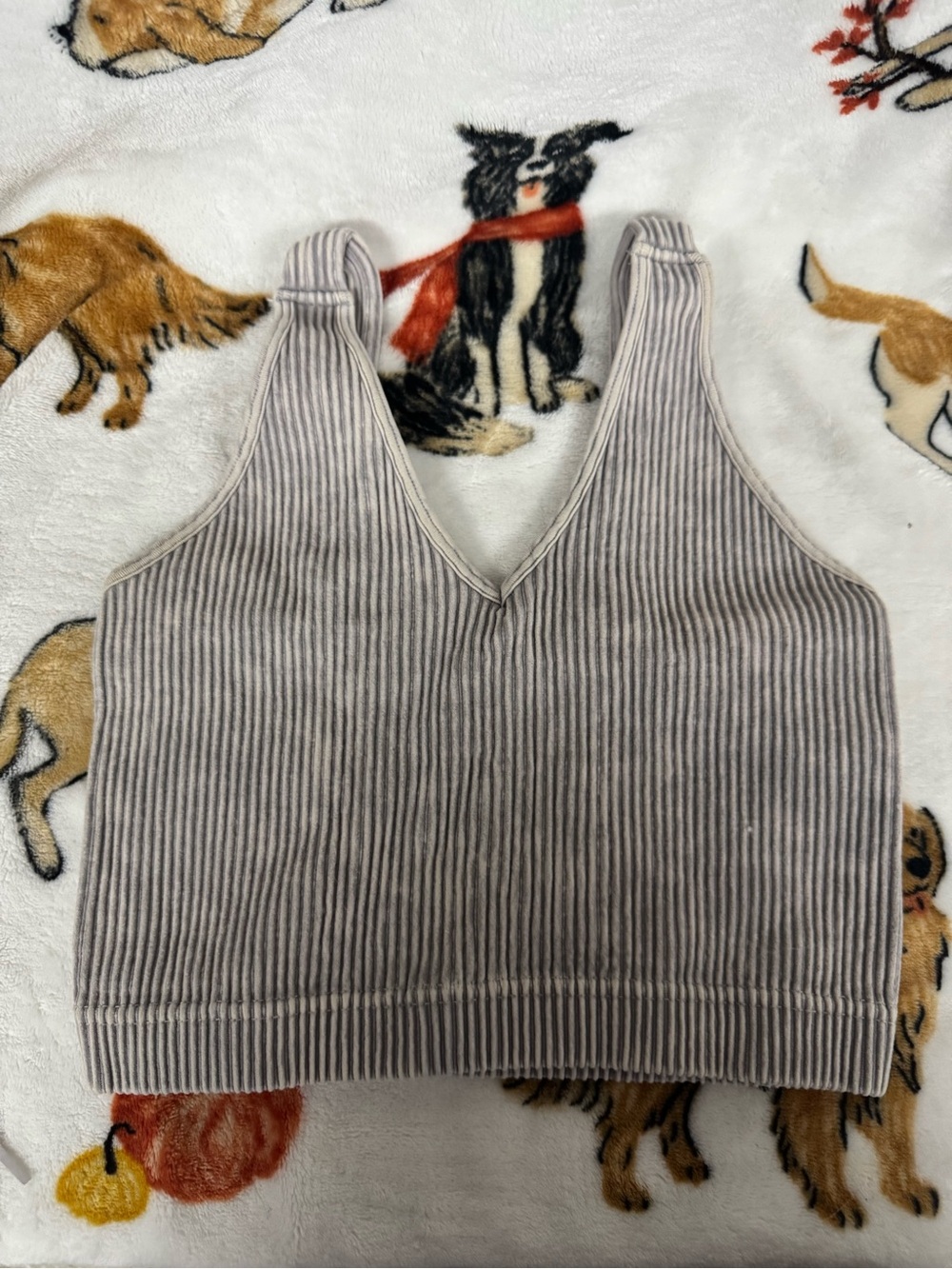 Zenana Outfitters Gray Ribbed V-Neck Cropped Cami